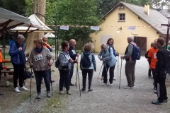 Run For Parkinson 2019_3